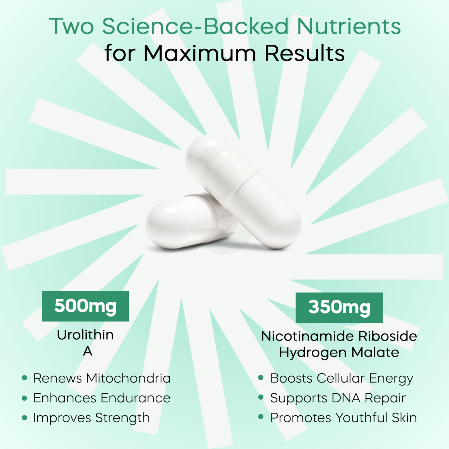 Urolithin A & NAD+ Supplement