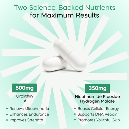 Urolithin A & NAD+ Supplement