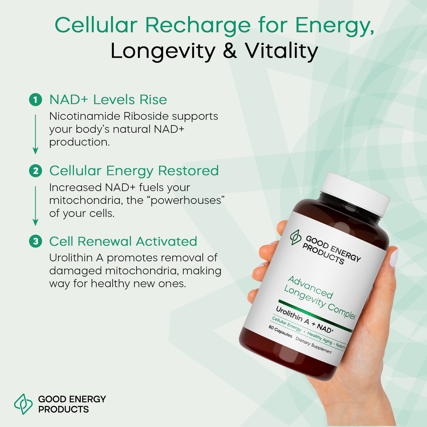Urolithin A & NAD+ Supplement